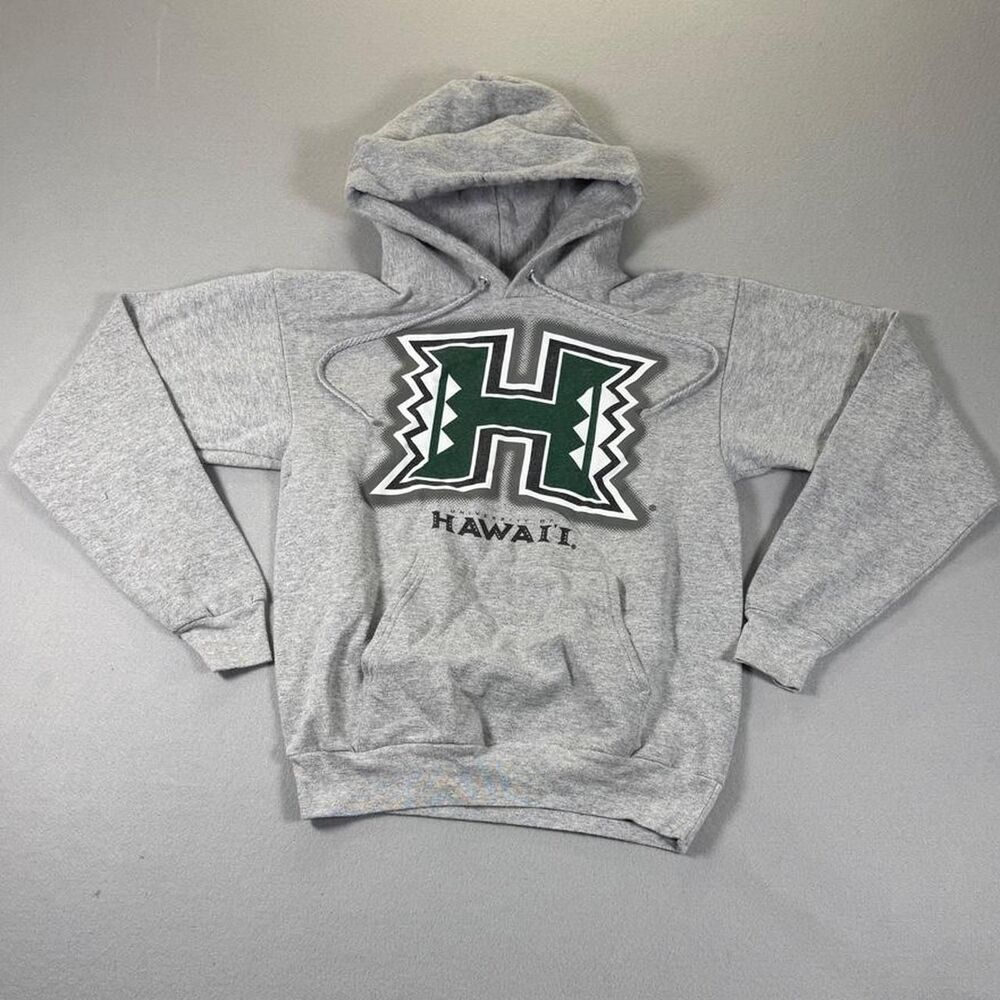 Hanes Men's Grey Hoodie